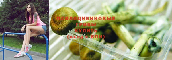 молекула духа Богородицк