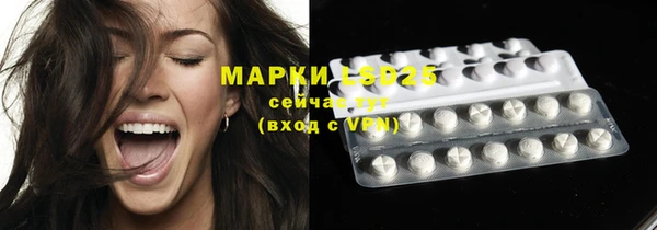 молекула духа Богородицк