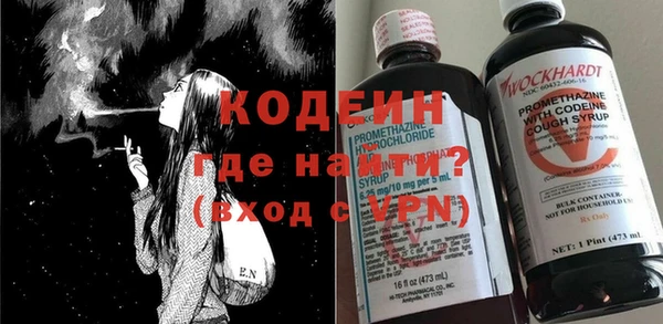молекула духа Богородицк