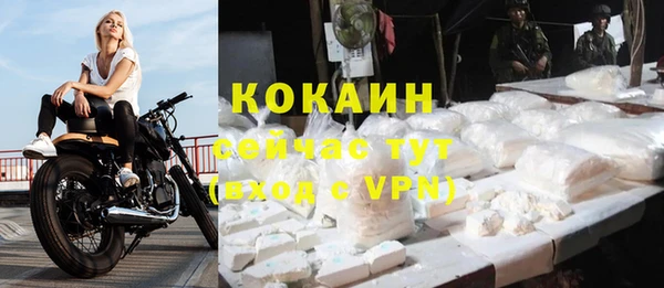 твердый Богданович