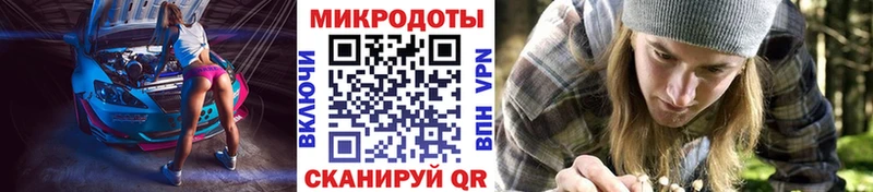 цена   Гаврилов-Ям  Галлюциногенные грибы прущие грибы 